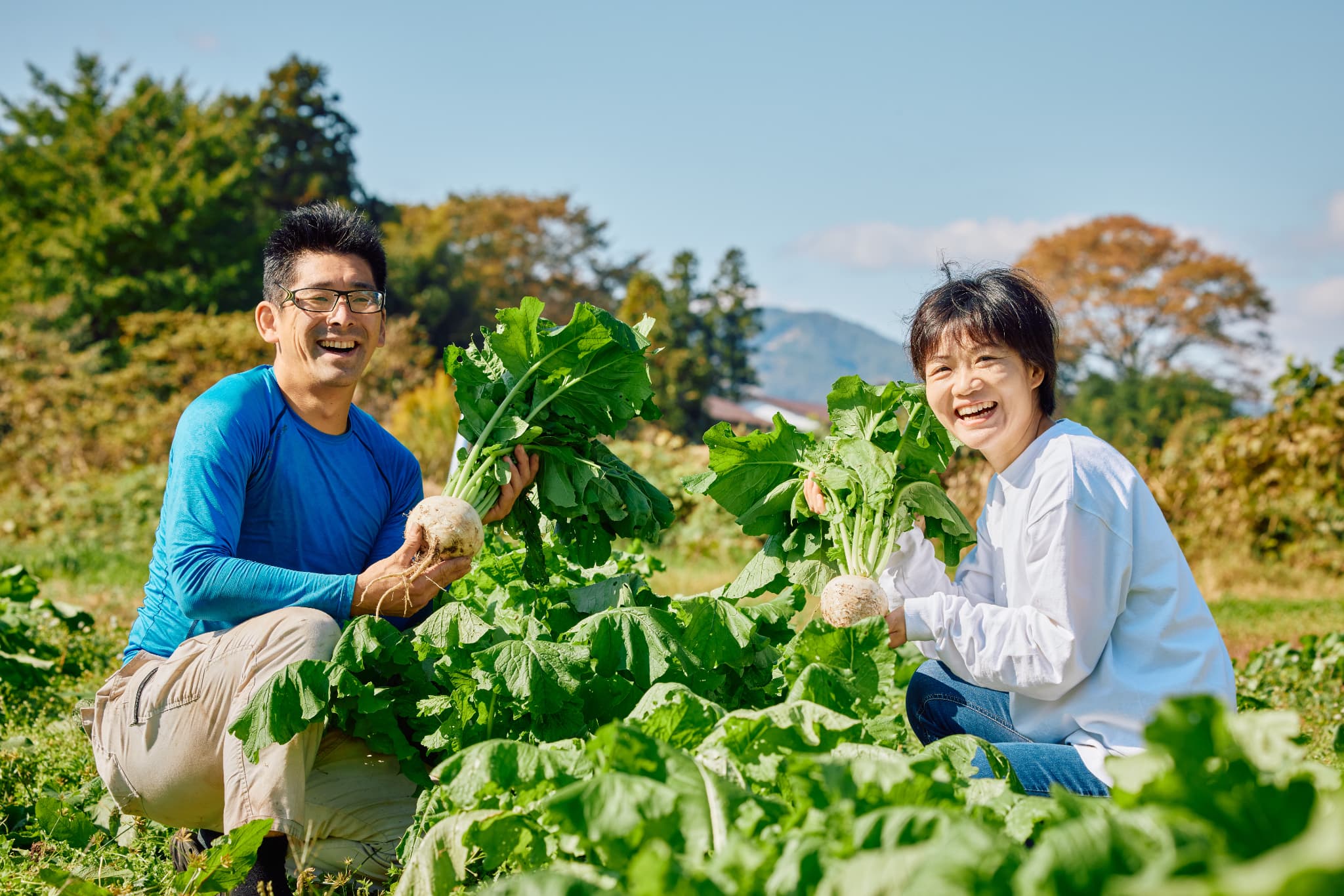 農産物の生産販売